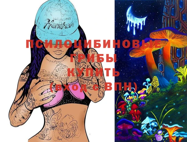 ешки Алзамай
