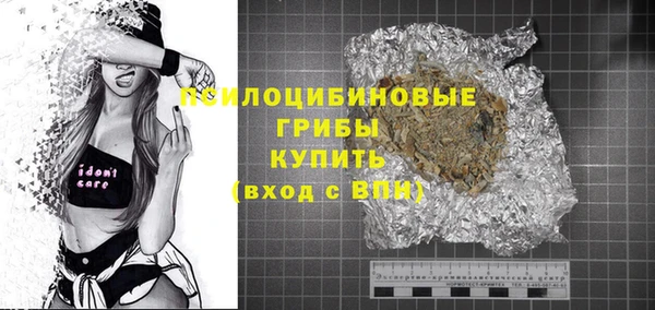амф Алексин