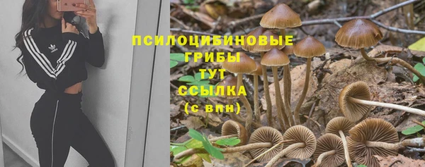 бошки Алексеевка