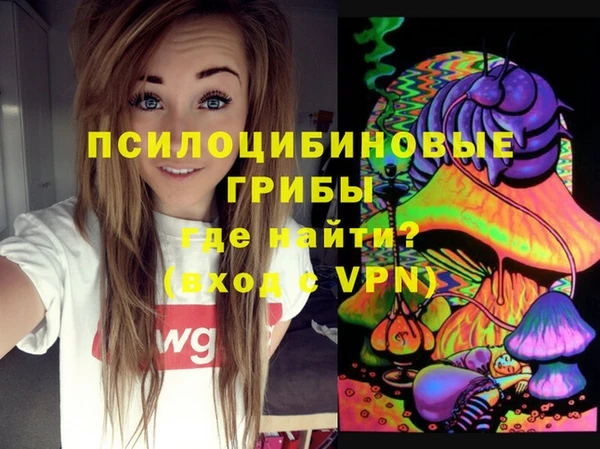 амф Алексин