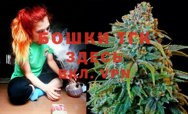 амф Алексин
