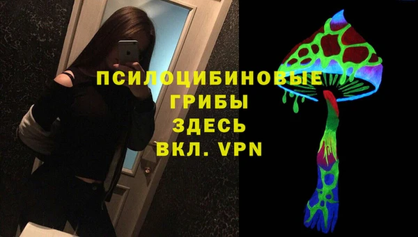 ешки Алзамай